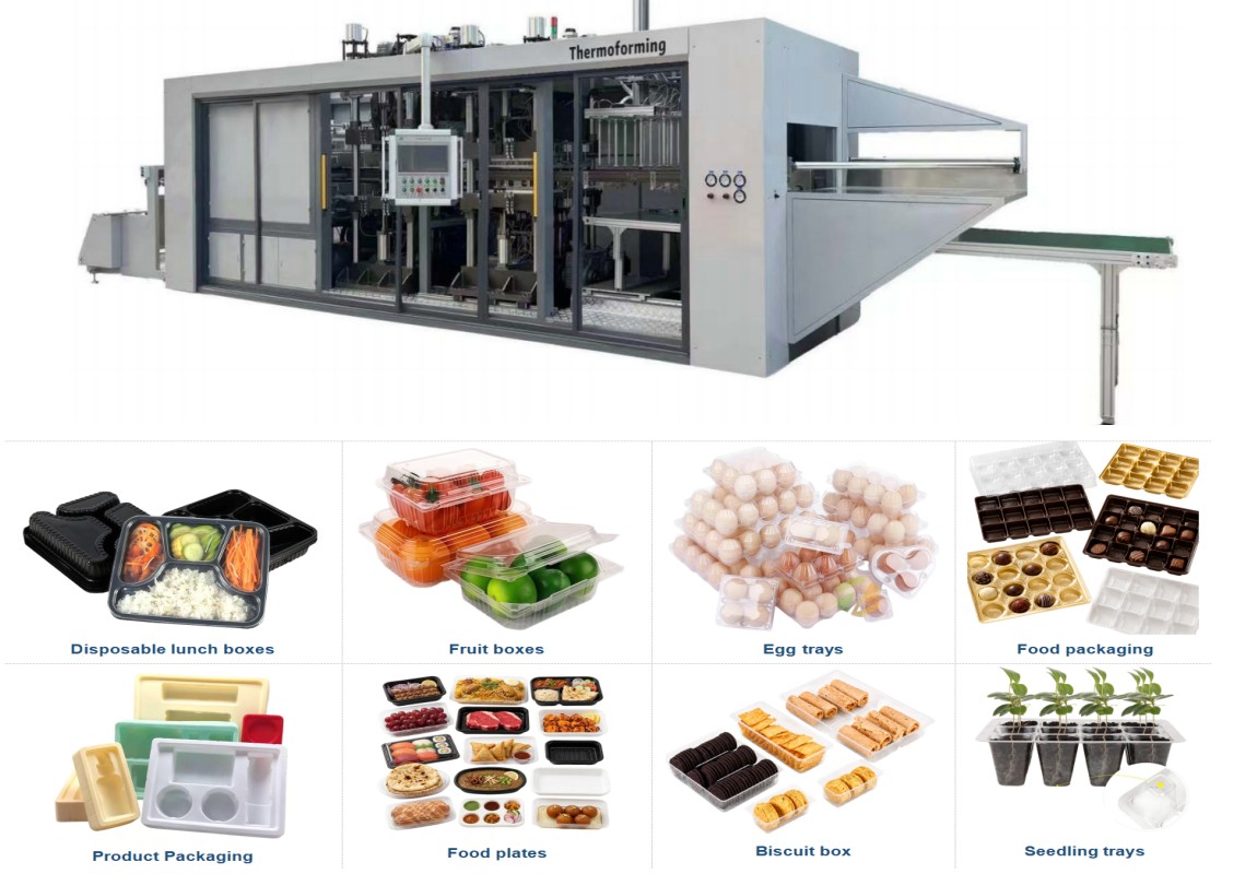 2026 Trends in the Used Thermoforming Machinery Market: Why Factory-Verified Equipment is Winning