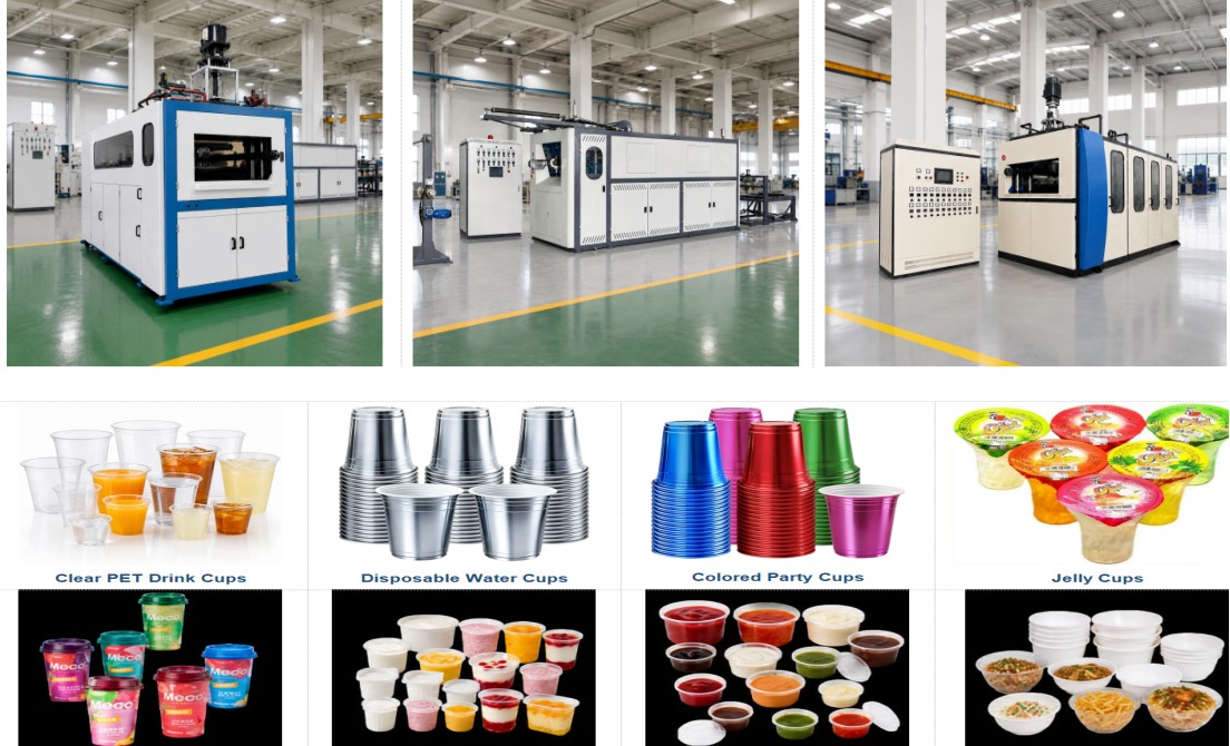 How to Choose a Plastic Cup Making Machine: A Complete Buyer's Guide