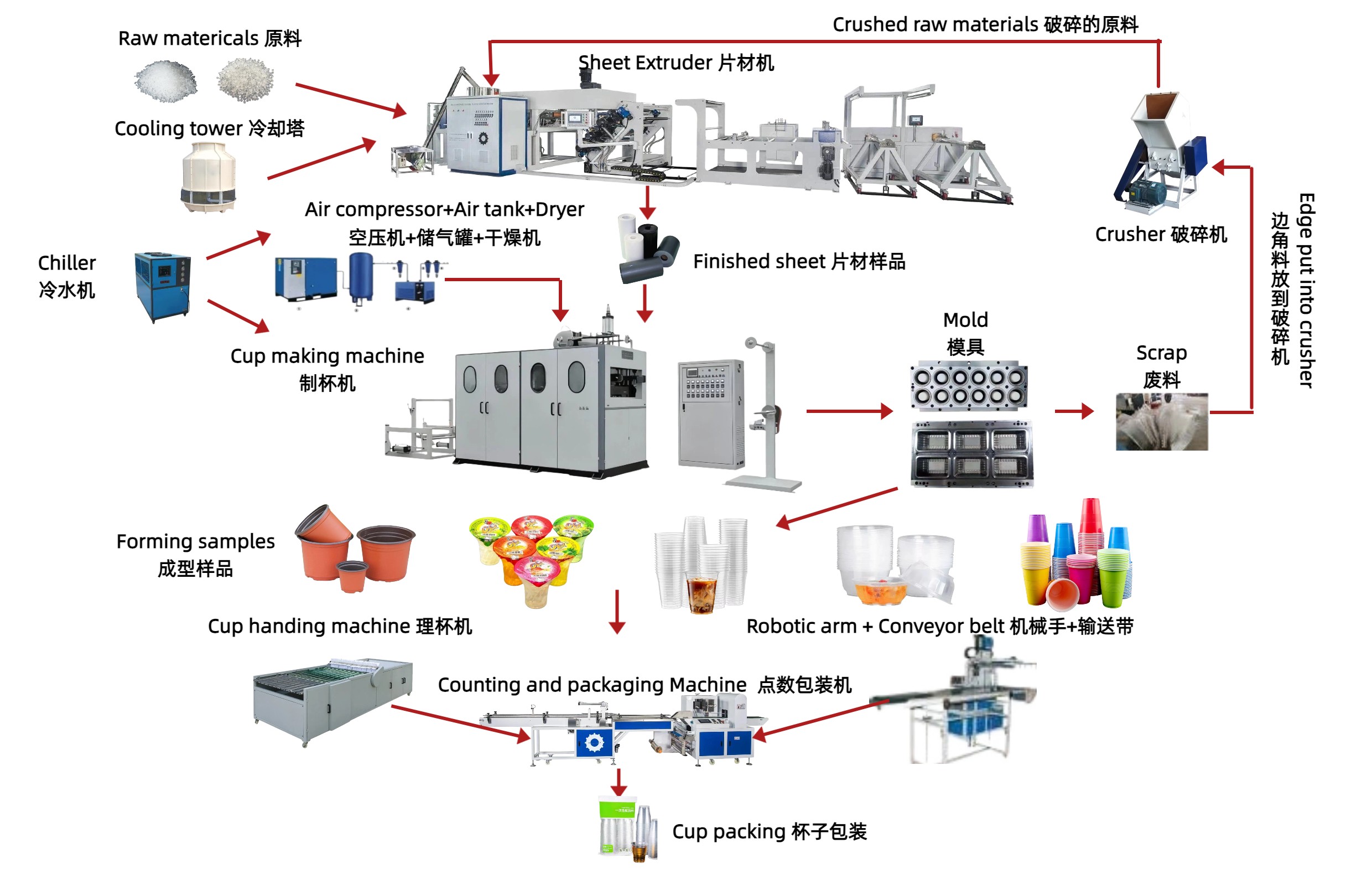 PP Disposable Cup Production Line